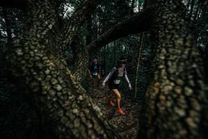 BIB: 
                            <button type="button" onclick="openModal(25690409)" class="btn btn-primary btn-sm float-right btn-popup" data-toggle="modal" data-target=".modal-high-quality">
                        <i class="fas fa-shopping-cart"></i> Add to Cart
                    </button>
                                            <button type="button" onclick="isThisMe(25690409, true)" class="btn btn-success btn-sm float-right btn-popup btn-isme hidden" data-toggle="tooltip" data-placement="bottom" title="นี่คือรูปของคุณใช่ไหม คลิกที่นี่เพื่อเอาเข้าอัลบั้ม">
                        <i class="fas fa-plus"></i> Add to album
                    </button>
                    <button type="button" onclick="isThisMe(25690409, false)" class="btn btn-warning btn-sm float-right btn-popup btn-isnotme hidden">
                        <i class="fas fa-ban"></i> Remove from album
                    </button>